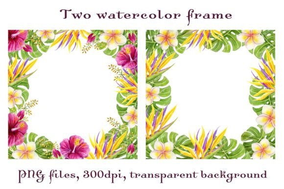 Download Tropical Frames Flowers Palm Leaves PNG - Frame Collection